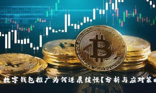 : 数字钱包推广为何进展缓慢？分析与应对策略