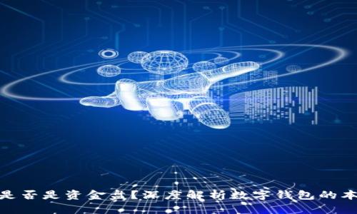 数字钱包是否是资金盘？深度解析数字钱包的本质与风险