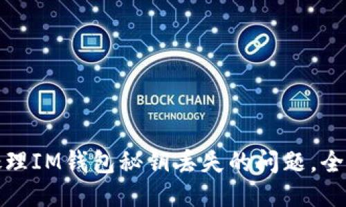 如何处理IM钱包秘钥丢失的问题，全面攻略