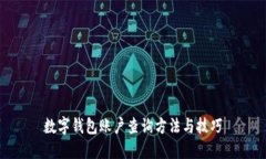 数字钱包账户查询方法与技巧