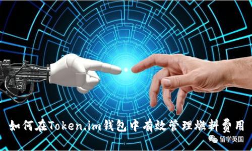 如何在Token.im钱包中有效管理燃料费用