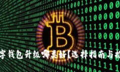 数字钱包升级哪类好？选择指南与推荐