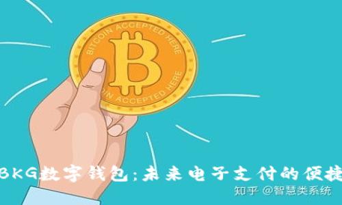 探索BKG数字钱包：未来电子支付的便捷选择