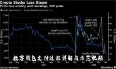 数字钱包支付过程详解与示范视频