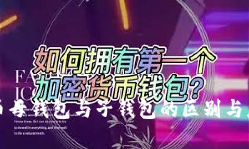 数字货币母钱包与子钱包的区别与应用解析