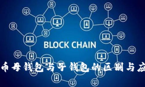 数字货币母钱包与子钱包的区别与应用解析