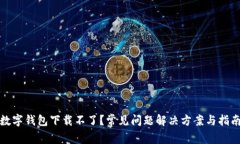 数字钱包下载不了？常见问题解决方案与指南