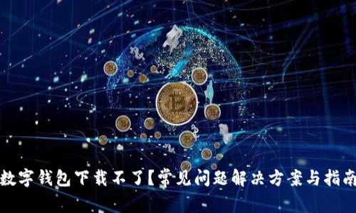 数字钱包下载不了？常见问题解决方案与指南