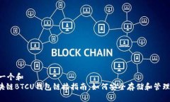 思考一个和  : 区块链BTCU钱包链接指南：如何安全