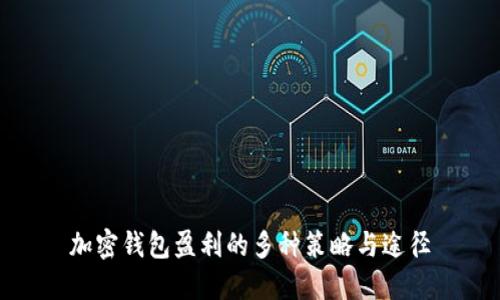 加密钱包盈利的多种策略与途径