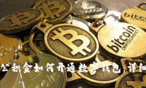 补缴公积金如何开通数字钱包：详细指南