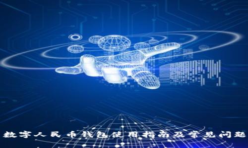 大量数字人民币钱包使用指南及常见问题解答