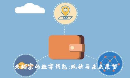 柬埔寨的数字钱包：现状与未来展望