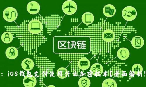 : iOS钱包支付使用什么加密技术？全面解析!