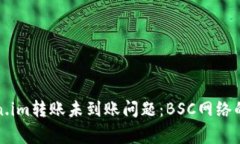 如何解决Token.im转账未到账问题：BSC网络的常见解