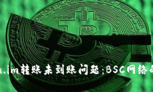 如何解决Token.im转账未到账问题：BSC网络的常见解决方案