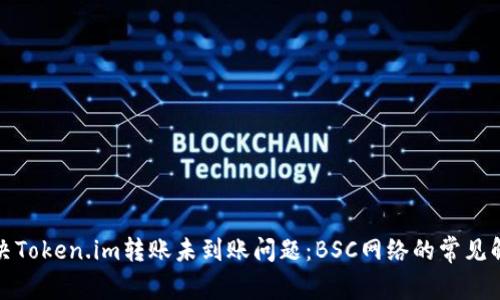如何解决Token.im转账未到账问题：BSC网络的常见解决方案