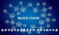 数字钱包的发展前景分析：创新与挑战并存