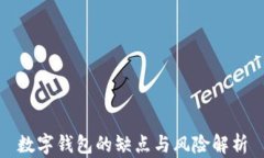 数字钱包的缺点与风险解析