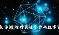 多链数字钱包评测：选择最适合你的数字资产管