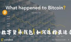 年底发行的数字货币钱包：如何选择最适合你的