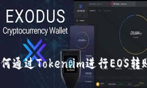 详细解读：如何通过Token.im进行EOS转账的完整教程