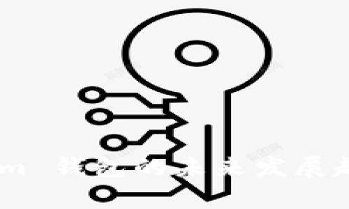 Token.im 钱包的未来发展趋势分析