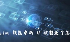 Token.im 钱包中的 U 被转走了怎么办？