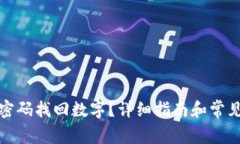 如何仅凭密码找回数字？详细指南和常见问题解